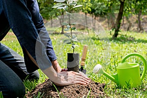 The young man used Siem to dig the soil to plant trees in his backyard during the day