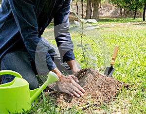 The young man used Siem to dig the soil to plant trees in his backyard during the day