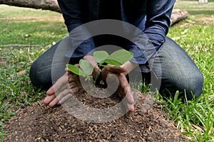 The young man used Siem to dig the soil to plant trees in his backyard during the day