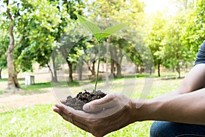 The young man used Siem to dig the soil to plant trees in his backyard during the day