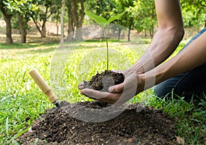 The young man used Siem to dig the soil to plant trees in his backyard during the day