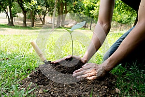 The young man used Siem to dig the soil to plant trees in his backyard during the day