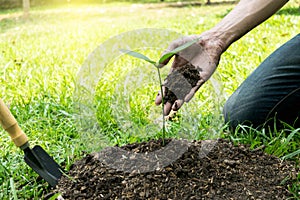 The young man used Siem to dig the soil to plant trees in his backyard during the day