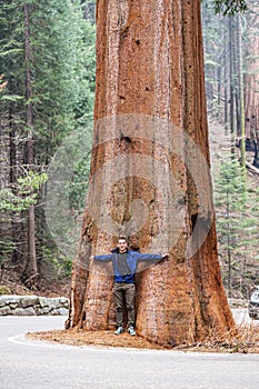 Young man visit Sequoia national park in California, USA