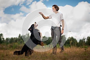 Young man walking with Bernese Mountain Dog on the summer field