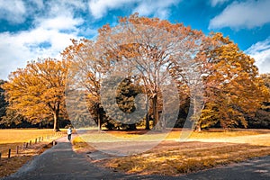 Young man walking relaxation in the park feel good memory in the park forest in autumn season