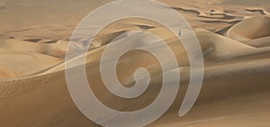 Young man walking in the sand dunes of Liwa desert