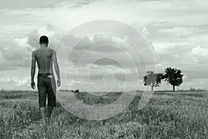 Young man walking on a stubble-field photo