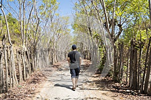 Young man walking in the tropical forest