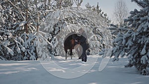 A young man walks with a horse outdoors on the background of snow-covered Christmas trees and pines. The guy drives a