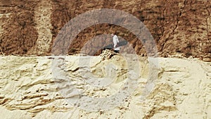 Young man walks witn sandboard in desert