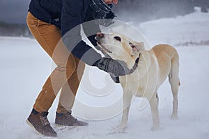 Young man in warm clothing stroking dog on snowy field