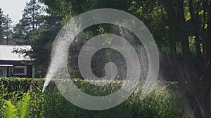 Young man watering lawn and plants in garden using hosepipe