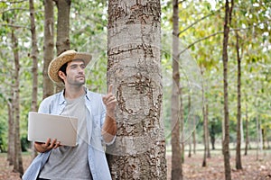 A young man wearing a straw hat leans against a tree with a laptop in his hand.