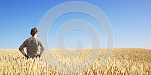 Young man in wheat field