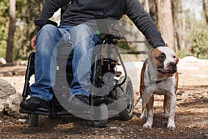 Man in a wheelchair with his faithful dog. photo