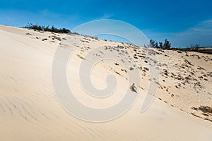 Young man on White sand dunes in Vietnam