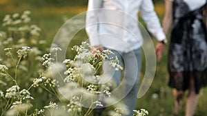 Young man and woman walking in a green meadow in the park holding hands in the summer. Romance, love, relationship