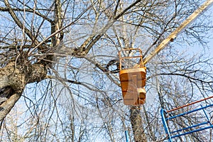 A young man, a worker, with a chainsaw at the height of sawing branches of a large tree that fall to the ground