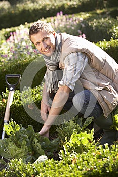 Young man working in garden