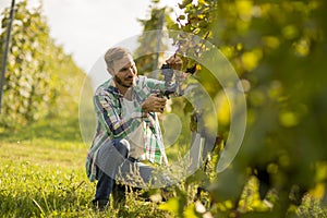 Young man working in the vineyard