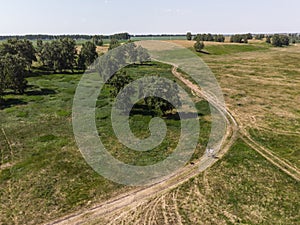 A young married couple walks in nature with a dog on a country road. Top view from the drone. Shooting from a copter