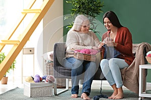 Young and mature women with knitting yarn sitting on sofa indoors