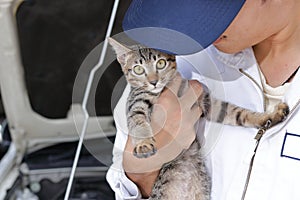 Young mechanic man with cutie kitten against car in open hood at the repair garage. Car insurance concept.