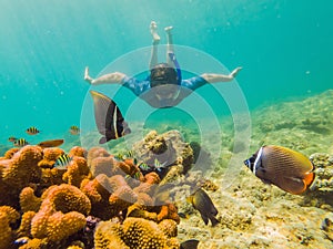 Young men snorkeling exploring underwater coral reef landscape background in the deep blue ocean with colorful fish and