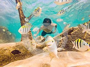 Young men snorkeling exploring underwater coral reef landscape background in the deep blue ocean with colorful fish and