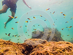 Young men snorkeling exploring underwater coral reef landscape background in the deep blue ocean with colorful fish and