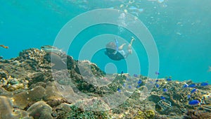 Young men snorkeling exploring underwater coral reef landscape in the deep blue ocean with colorful fish and marine life