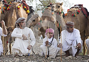 Young men with their camels bifore a race