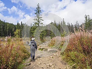 Young men tourist hiking at the beautiful nature trail at high tatra mountains in slovakia, late summer sunny day