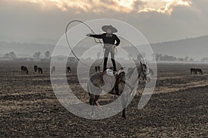 A Young Mexican Charro Cowboy Rounds Up A Herd of Horses Running Through The Field On A Mexican Ranch At Sunrise