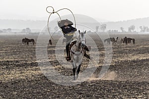 A Young Mexican Charro Cowboy Rounds Up A Herd of Horses Running Through The Field On A Mexican Ranch At Sunrise photo