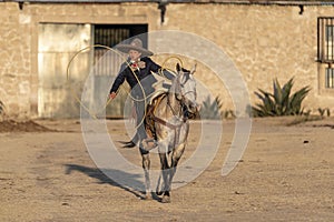 A Young Mexican Charro Cowboy Rounds Up A Herd of Horses Running Through The Field On A Mexican Ranch At Sunrise photo