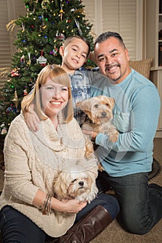 Young Mixed Race Family In Front of Christmas Tree