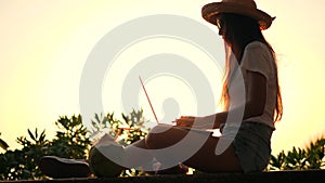 Young Mixed Race Hipster Girl Working on Laptop Computer Againts Beautiful Beach Sunset. Digital Nomad Carefree Travel