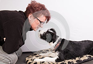 Young mixedbreed dog