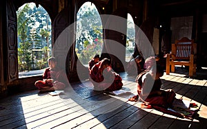 Young monks learning in monastery Myanmar