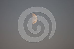 Young moon in daytime clear sky