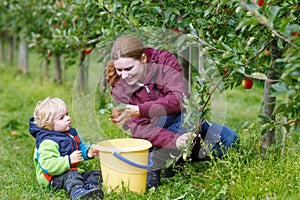 Young mother and adorable little toddler boy picking organic app