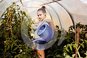 Young mother with baby in her arms uses garden watering can to water tomato seedlings in greenhouse on summer day.