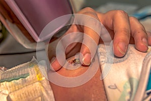 A young mother examines the umbilical cord