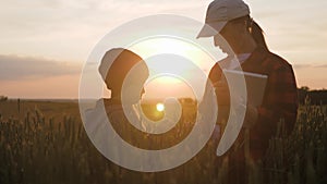 Young mother farmer teaches her daughter to work in a wheat field. Silhouette of a farmers family in a wheat field at