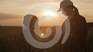 Young mother farmer teaches her daughter to work in a wheat field. Silhouette of a farmers family in a wheat field at