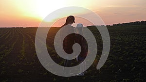 Young mother farmer teaches her daughter to work in a wheat field. Silhouette of a farmers family in a wheat field at