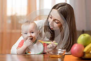 Young mother feeding baby son with fruit puree