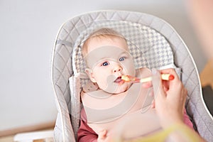 Young mother feeding her baby daughter with fruit puree. The baby is 7 months old, lying in a special high chair for